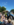 Safari on Tour 01